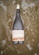 2023 Beach Freaks, White Wine, California - View 3